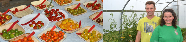 Frisch vor Oeli - Tomatenspezialitten